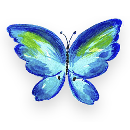 Mariposa Kalyan color azul y verde